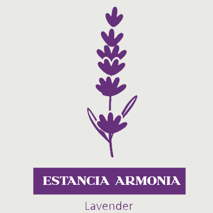 Detergente Viso alla Lavanda