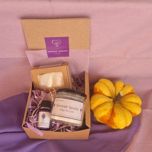 6. Medium Box "Claude"