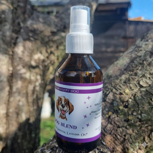 Dog Relaxing | Dog Teraphy