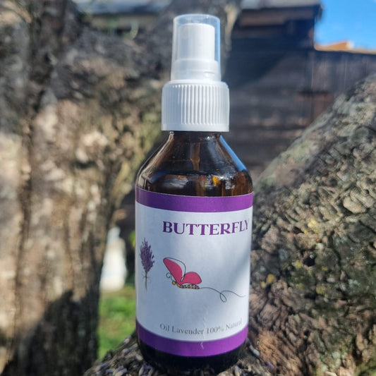 Butterfly - Oil Lavender