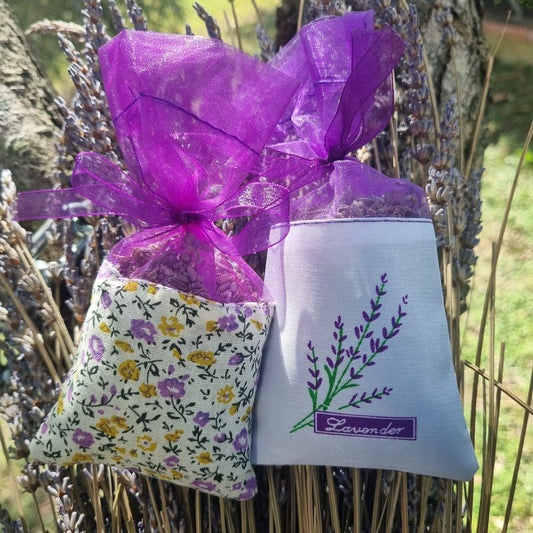 Semi di Lavanda