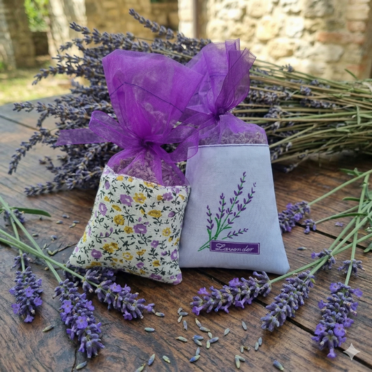 Semi di Lavanda